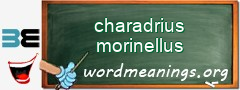 WordMeaning blackboard for charadrius morinellus